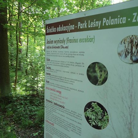 Apartament 221 Przy Niedzwiadku Polanica-Zdrój Esterno foto
