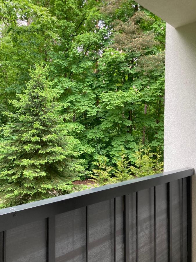 Apartament 221 Przy Niedzwiadku Polanica-Zdrój Esterno foto